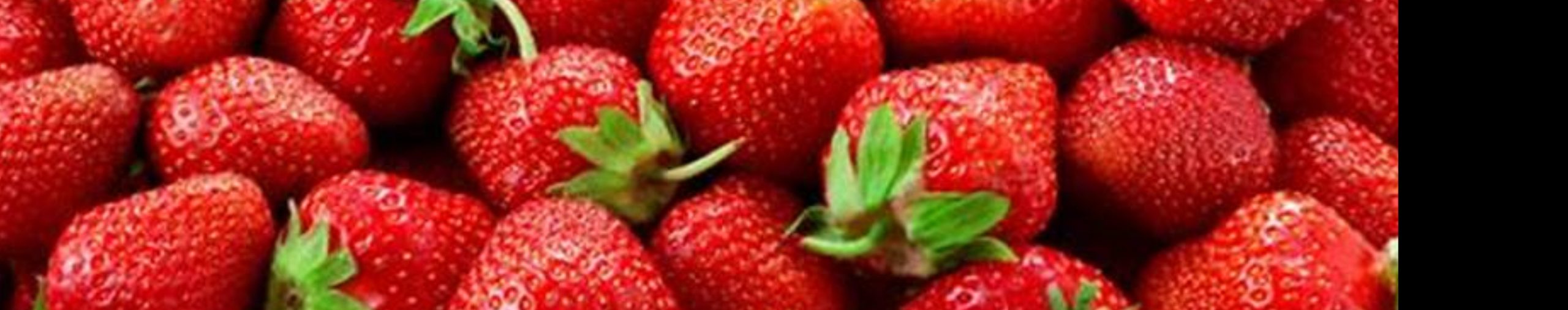 Stáleplodící převislé jahody v akci – za 55 Kč!