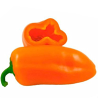Papriky - Paprika zeleninová - Hamík
