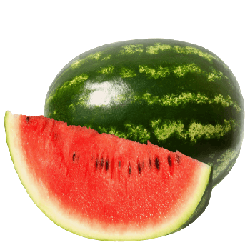 Dýně a ostatní tykvovité - Vodní meloun